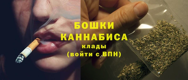 гидра Богородск