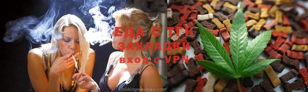 гидра Богородск