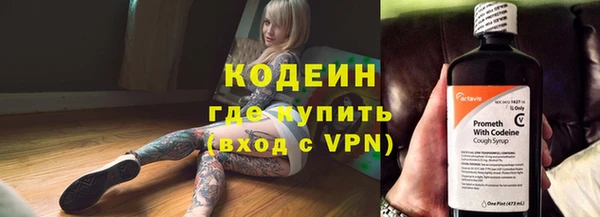 гидра Богородск