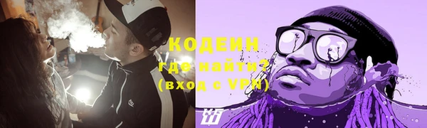 гидра Богородск