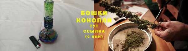 гидра Богородск