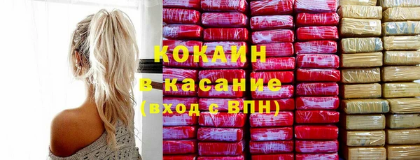 гидра Богородск