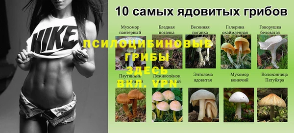 эйфоретик Богданович