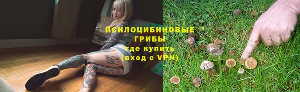 эйфоретик Богданович