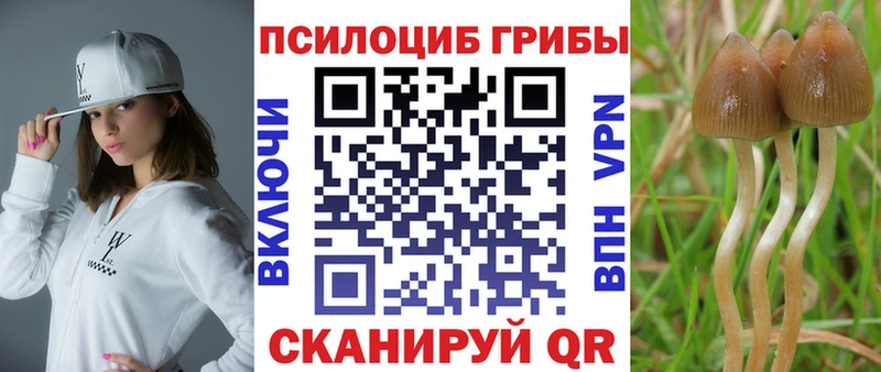 Псилоцибиновые грибы мицелий  Купить  Новый Уренгой 